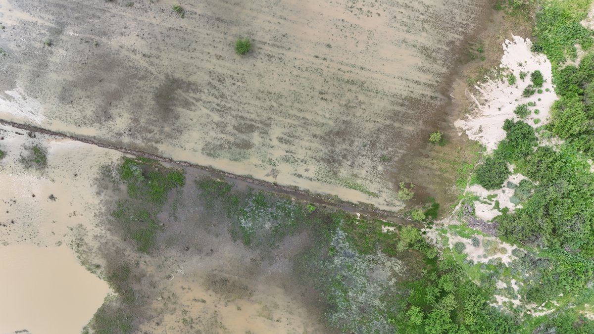 Drone 3d model of AVITA LIVING JOSE Garambullo 06 in La Choya Aerial drone 3d model in San José del Cabo, Bcs, MX