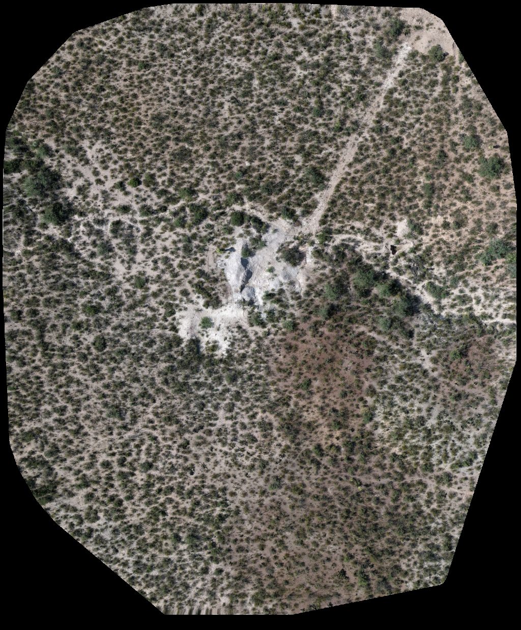 Thumbnail preview for Drone Map of Comedor Melissa Restaurante La Capilla in El Tanque, Durango, Mexico
