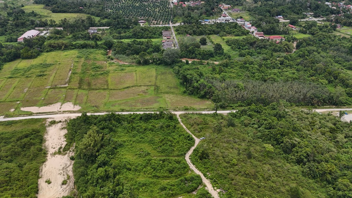Drone 3d model of Kampung Bukit Sawa Azlina Homestay in uitm machang Aerial drone 3d model in Machang, Kelantan, MY