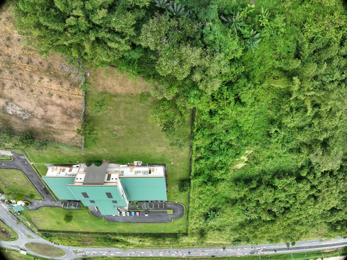 Drone 3d model of Malaysian Rubber Board Pengedar Shaklee Telipuk in Kkip Commercial Zone 1 Aerial drone 3d model in Kota Kinabalu, Sabah, MY
