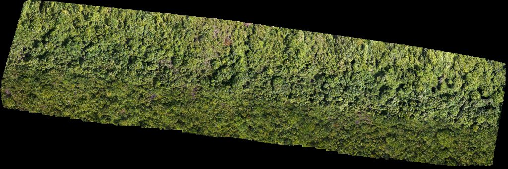 Drone map of FORESCOM SARAWAK SDN BHD Ss sungai empat in sg tujoh Aerial drone map in Kuala Baram, Sarawak, MY