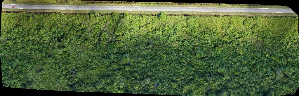 Drone map of FORESCOM SARAWAK SDN BHD SS ICD Sg Tujoh in sungai tujuh Aerial drone map in Kuala Baram, Sarawak, MY