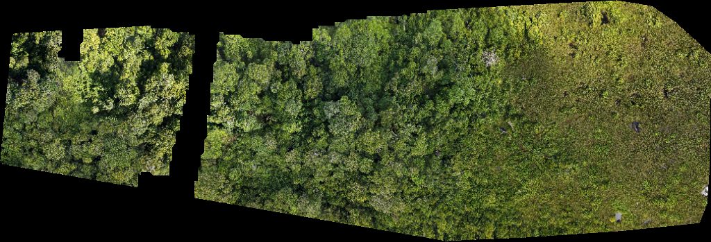 Drone map of Borneo Agro Industries Sdn Bhd Ss sungai empat in sdn bhd Aerial drone map in Miri, Sarawak, MY