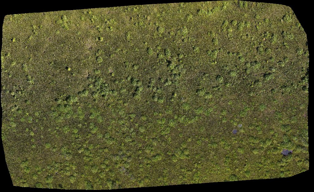 Drone map of Borneo Agro Industries Sdn Bhd Syarikat Jaya NHSD in ss sungai Aerial drone map in Miri, Sarawak, MY