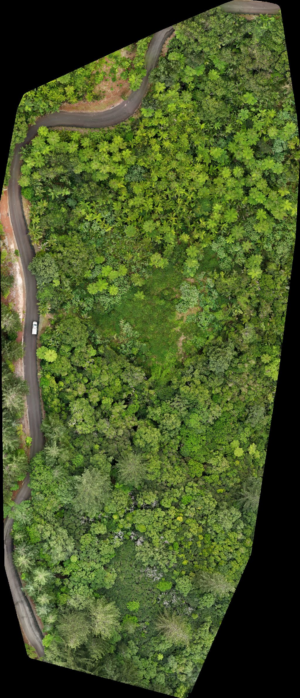 Thumbnail preview for Drone Map of Tung Sahere Valley Norfolk Island National Park in Burnt Pine, Region, Norfolk Island