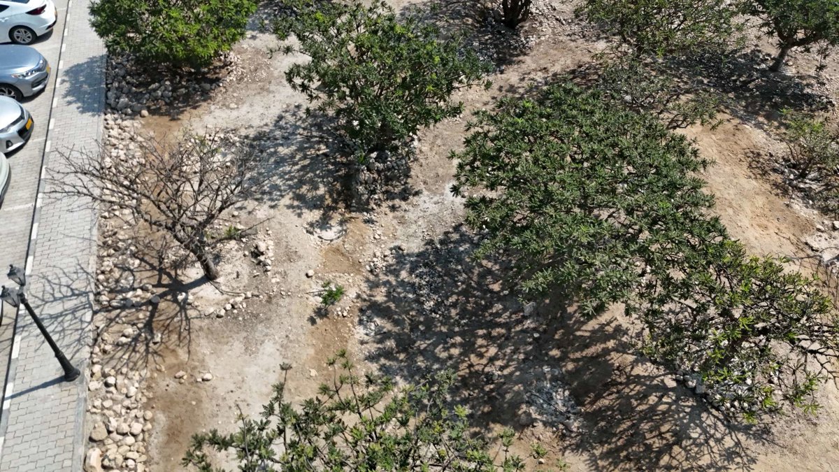 Drone 3d model of Al Baleed Archaeological Site Archeological Park in Al Balid Aerial drone 3d model in Salalah, Dhofar Governorate, OM