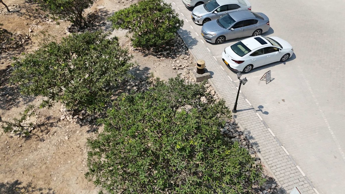 Drone 3d model of Al Baleed Archaeological Site Archeological Park in Al Balid Aerial drone 3d model in Salalah, Dhofar Governorate, OM