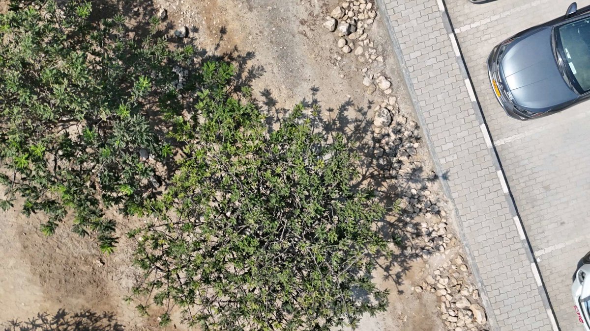 Drone 3d model of Al Baleed Archaeological Site Archeological Park in Al Balid Aerial drone 3d model in Salalah, Dhofar Governorate, OM