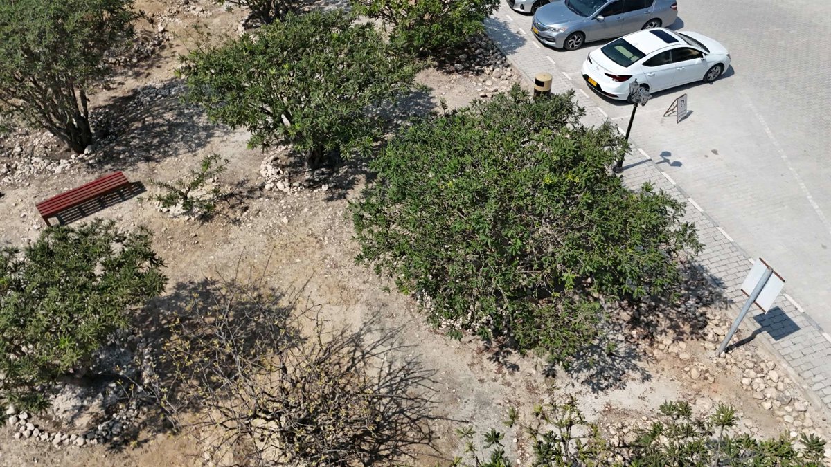 Drone 3d model of Al Baleed Archaeological Site Museum of the Frankincense Land in Al Balid Aerial drone 3d model in Salalah, Dhofar Governorate, OM