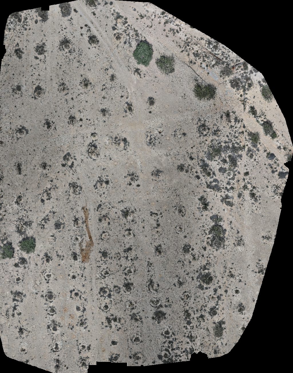 Drone map of Natural Park of Frankincense Tree Wadi Dawkah Aerial drone map in قيرون حيرتي, Region, OM