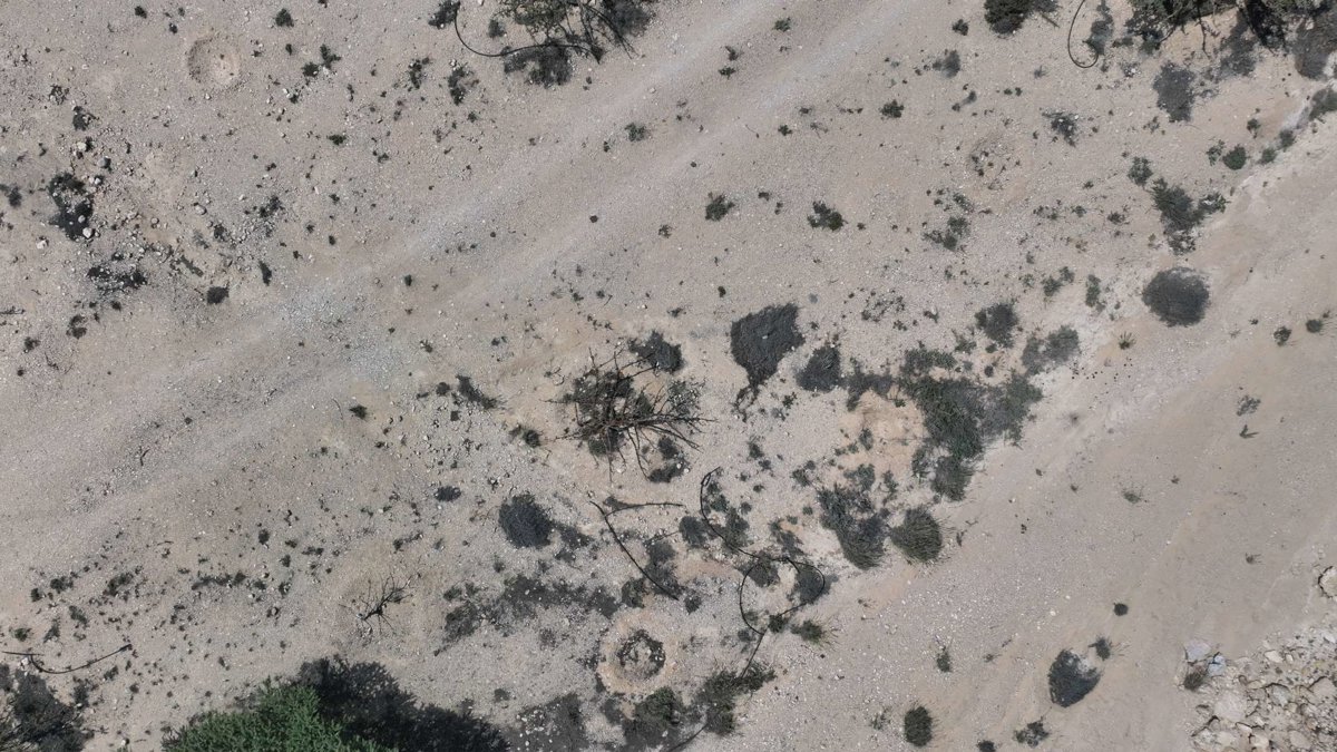 Drone 3d model of Natural Park of Frankincense Tree Wadi Dawkah Aerial drone 3d model in قيرون حيرتي, Region, OM