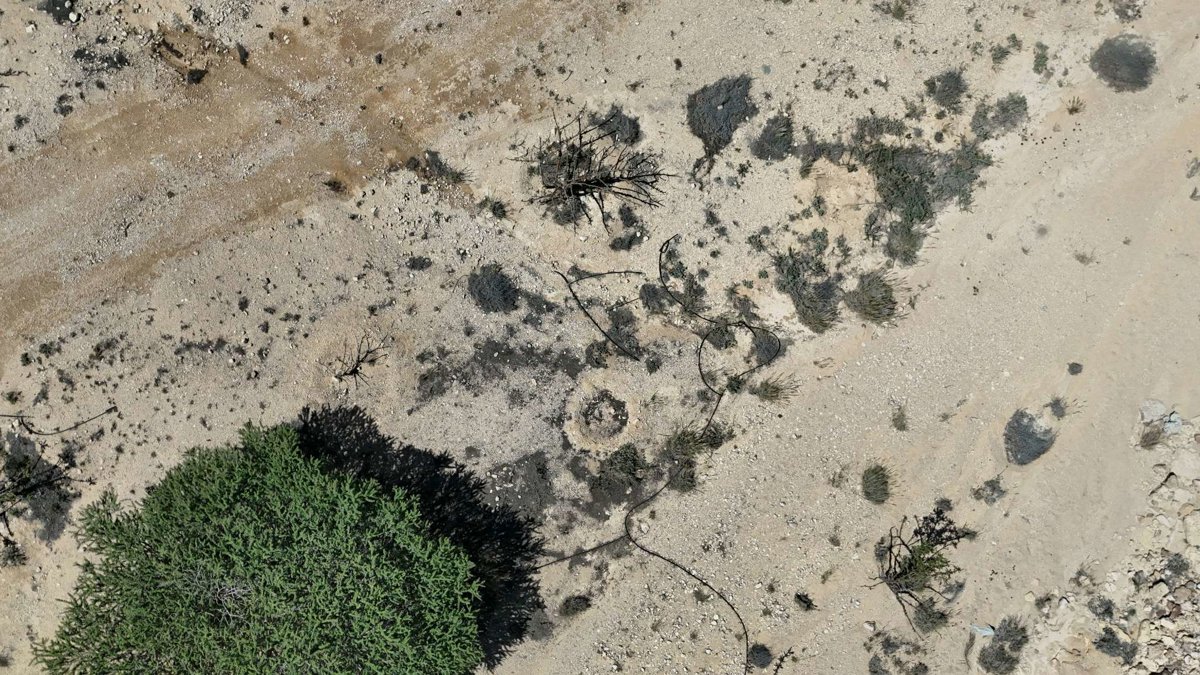 Drone 3d model of Natural Park of Frankincense Tree Wadi Dawkah Aerial drone 3d model in قيرون حيرتي, Region, OM