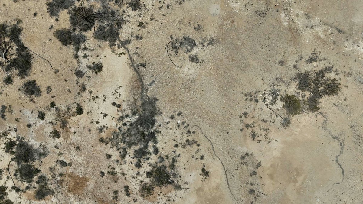 Drone 3d model of Wadi Dawkah Natural Park of Frankincense Tree Aerial drone 3d model in قيرون حيرتي, Region, OM