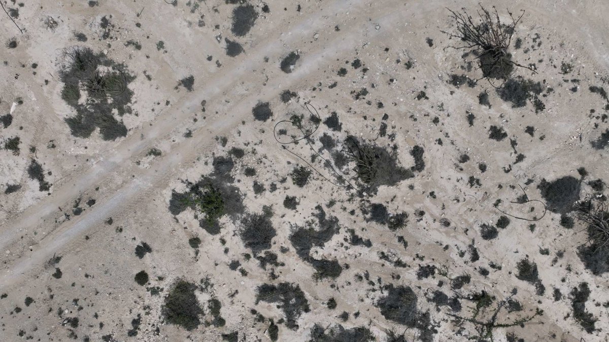 Drone 3d model of Wadi Dawkah Natural Park of Frankincense Tree Aerial drone 3d model in قيرون حيرتي, Region, OM