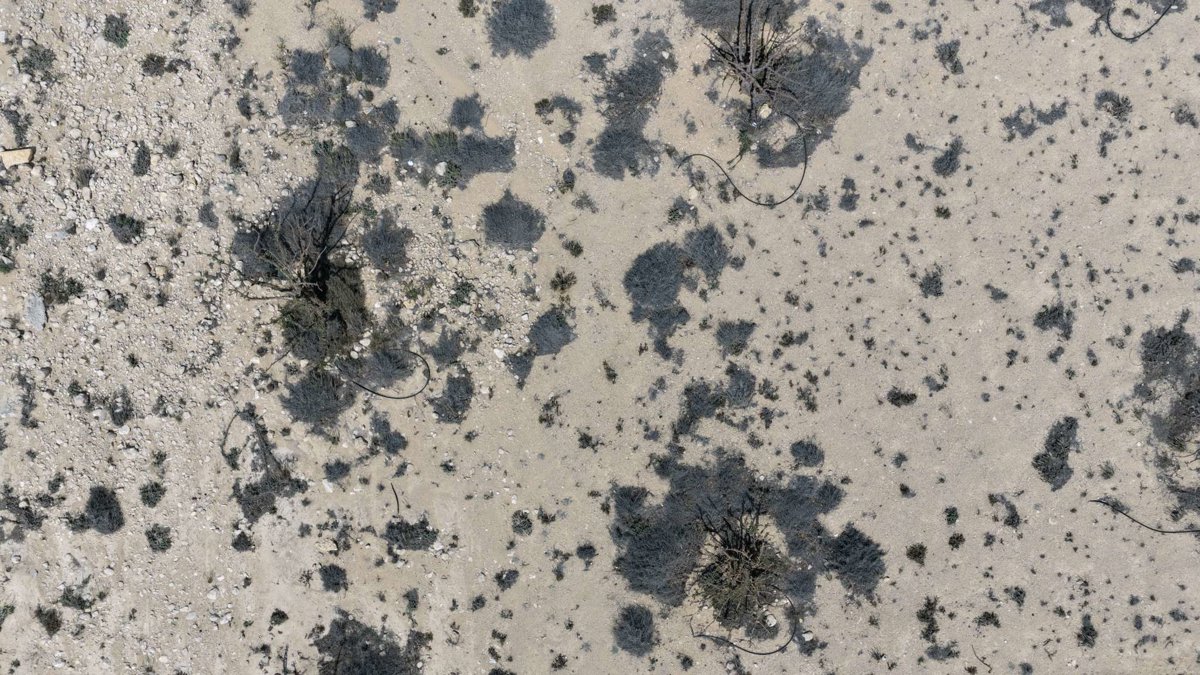 Drone 3d model of Wadi Dawkah Natural Park of Frankincense Tree Aerial drone 3d model in قيرون حيرتي, Region, OM