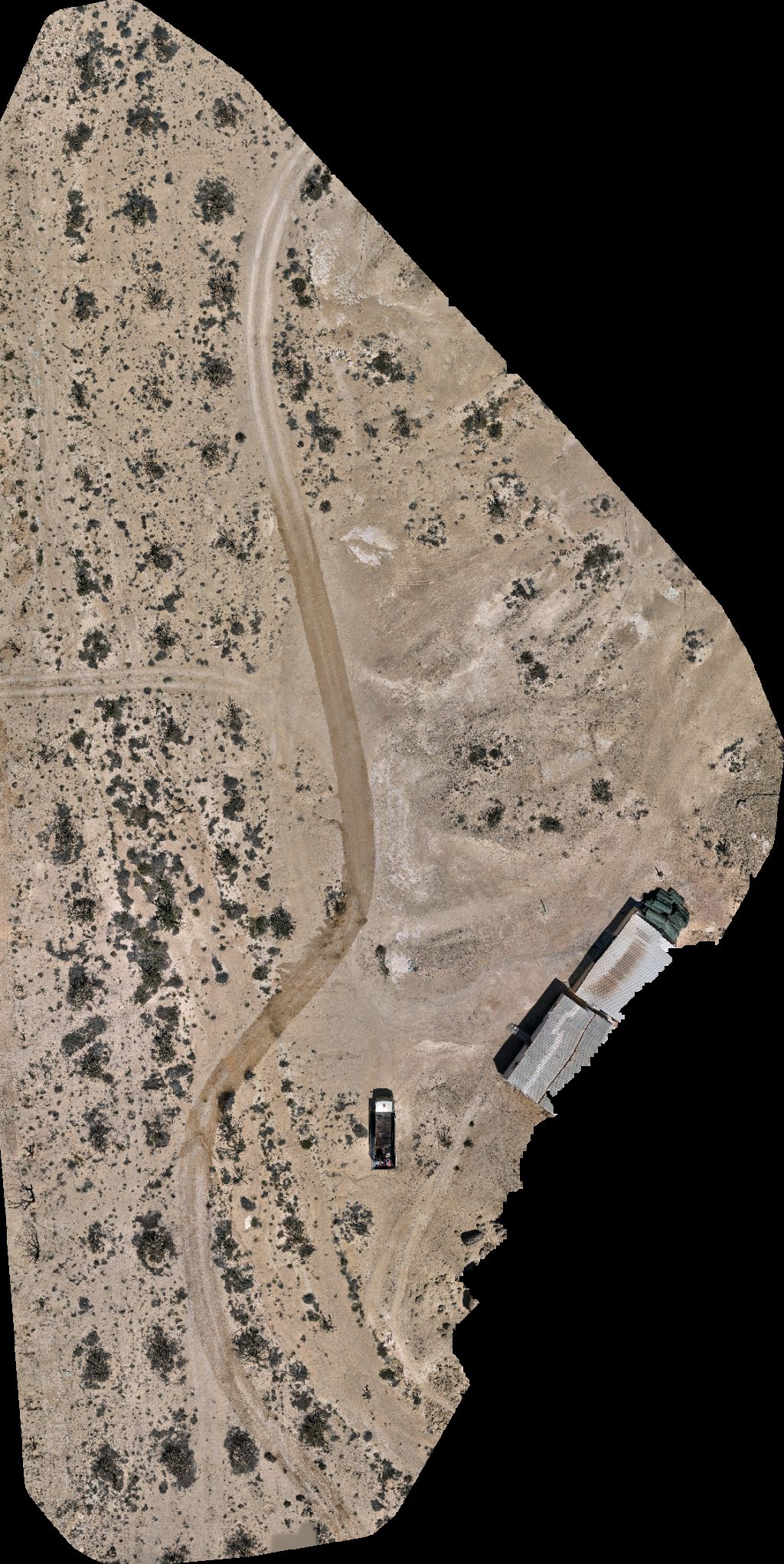 Drone map of Wadi Dawkah Natural Park of Frankincense Tree Aerial drone map in قيرون حيرتي, Region, OM