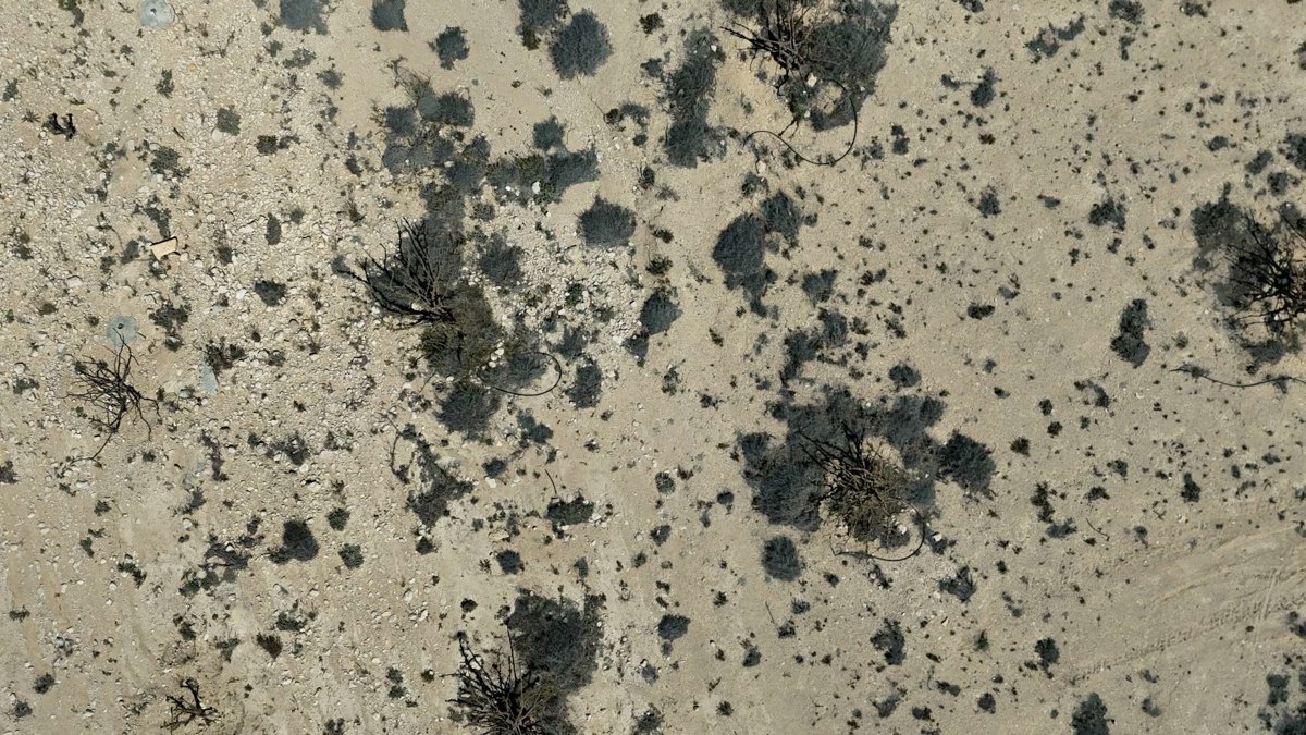 Drone 3d model of Wadi Dawkah Natural Park of Frankincense Tree Aerial drone 3d model in قيرون حيرتي, Region, OM