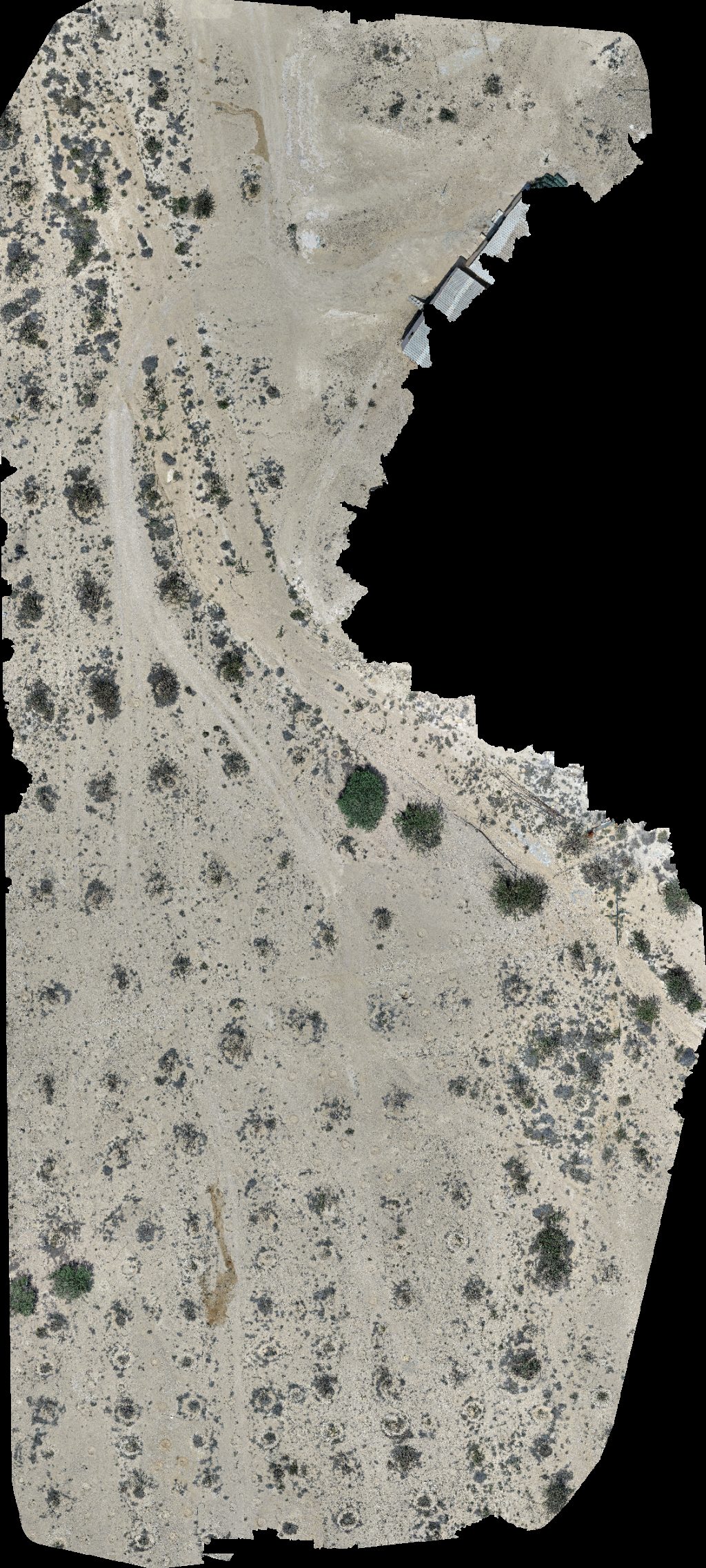 Drone map of Wadi Dawkah Natural Park of Frankincense Tree Aerial drone map in قيرون حيرتي, Region, OM