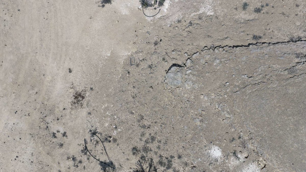 Drone 3d model of Wadi Dawkah Natural Park of Frankincense Tree Aerial drone 3d model in قيرون حيرتي, Region, OM