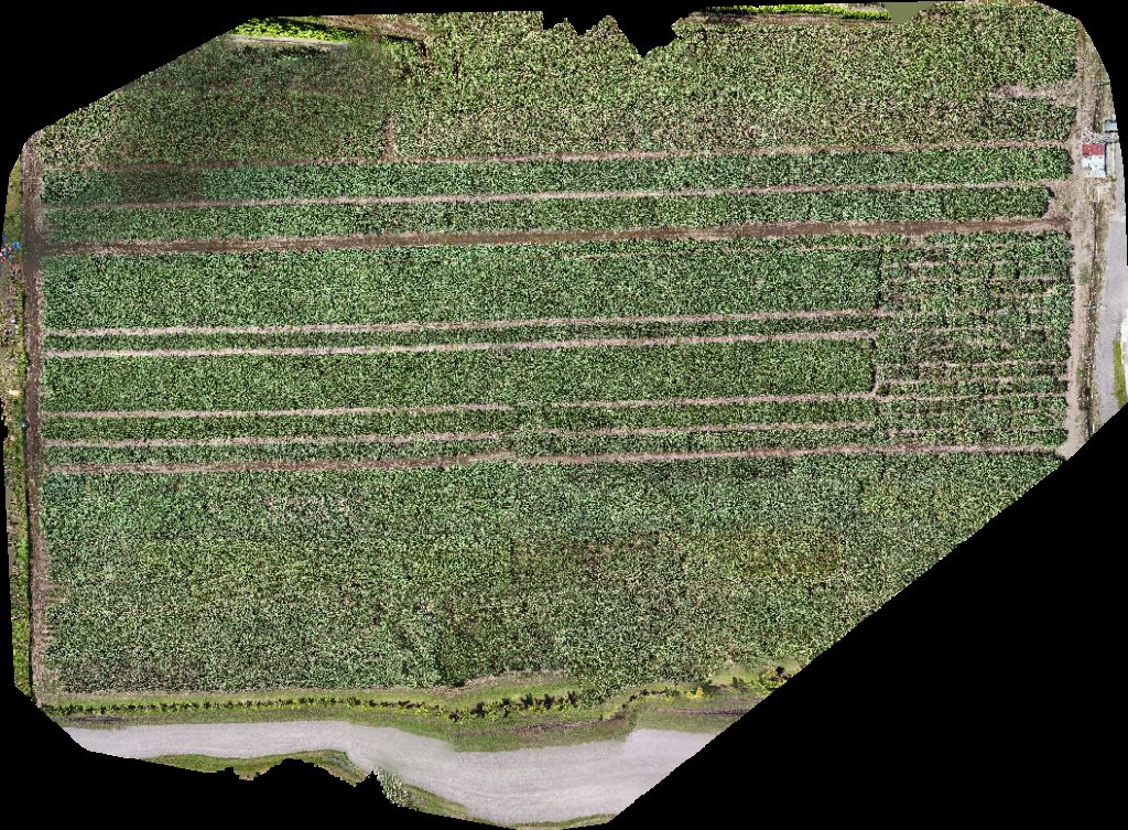 Drone map of Servicentro S A Parador fotográfico Aerial drone map in El Tejar, Chiriqui Province, PA