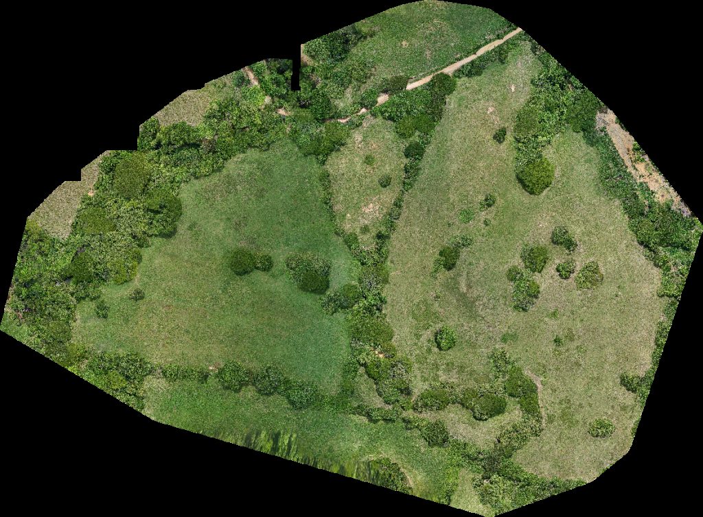 Thumbnail preview for Drone Map of Naranjal Reyes Abarroteria Jehu in El Cristo, Cocle Province, Panama