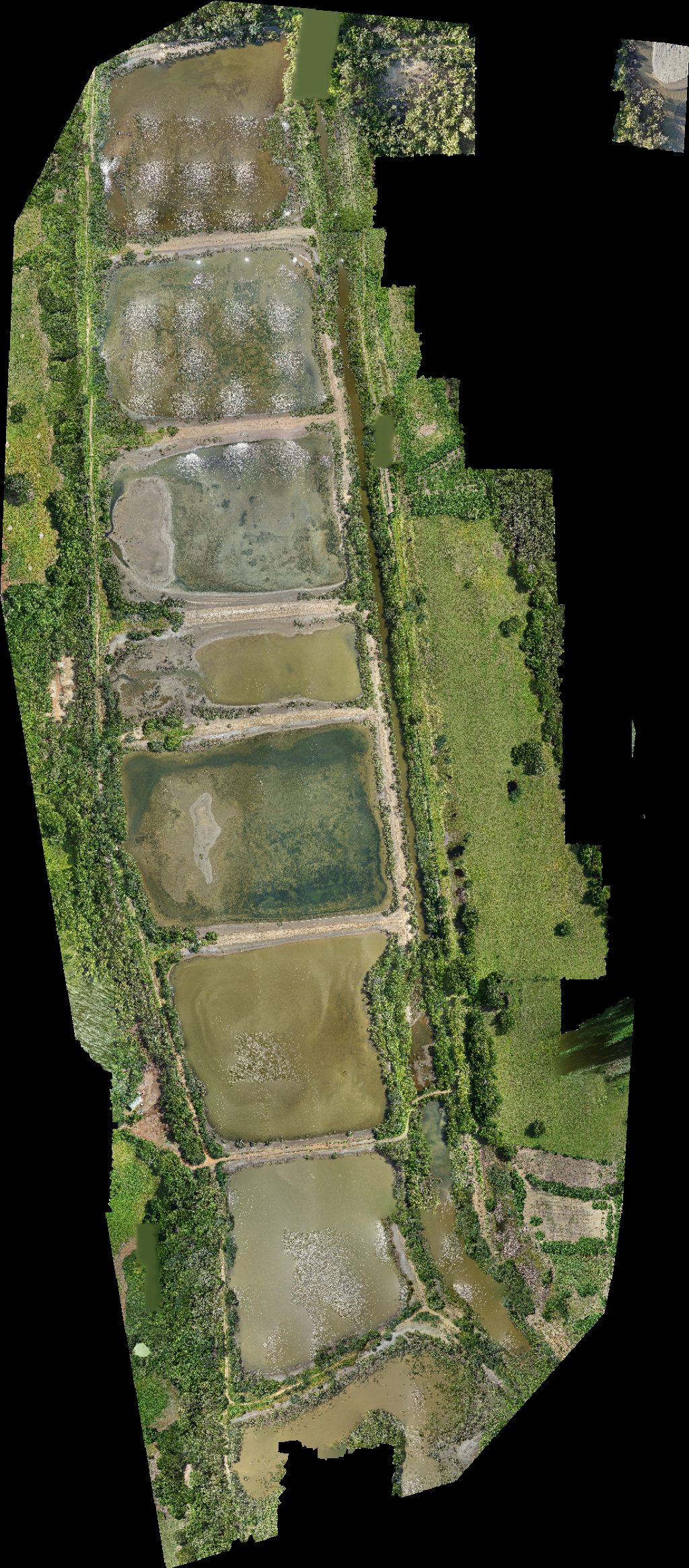 Thumbnail preview for Drone Map of Refugio De Vida Silvestre Peñón La Honda Ameen Taylor in Bayano, Los Santos Province, Panama