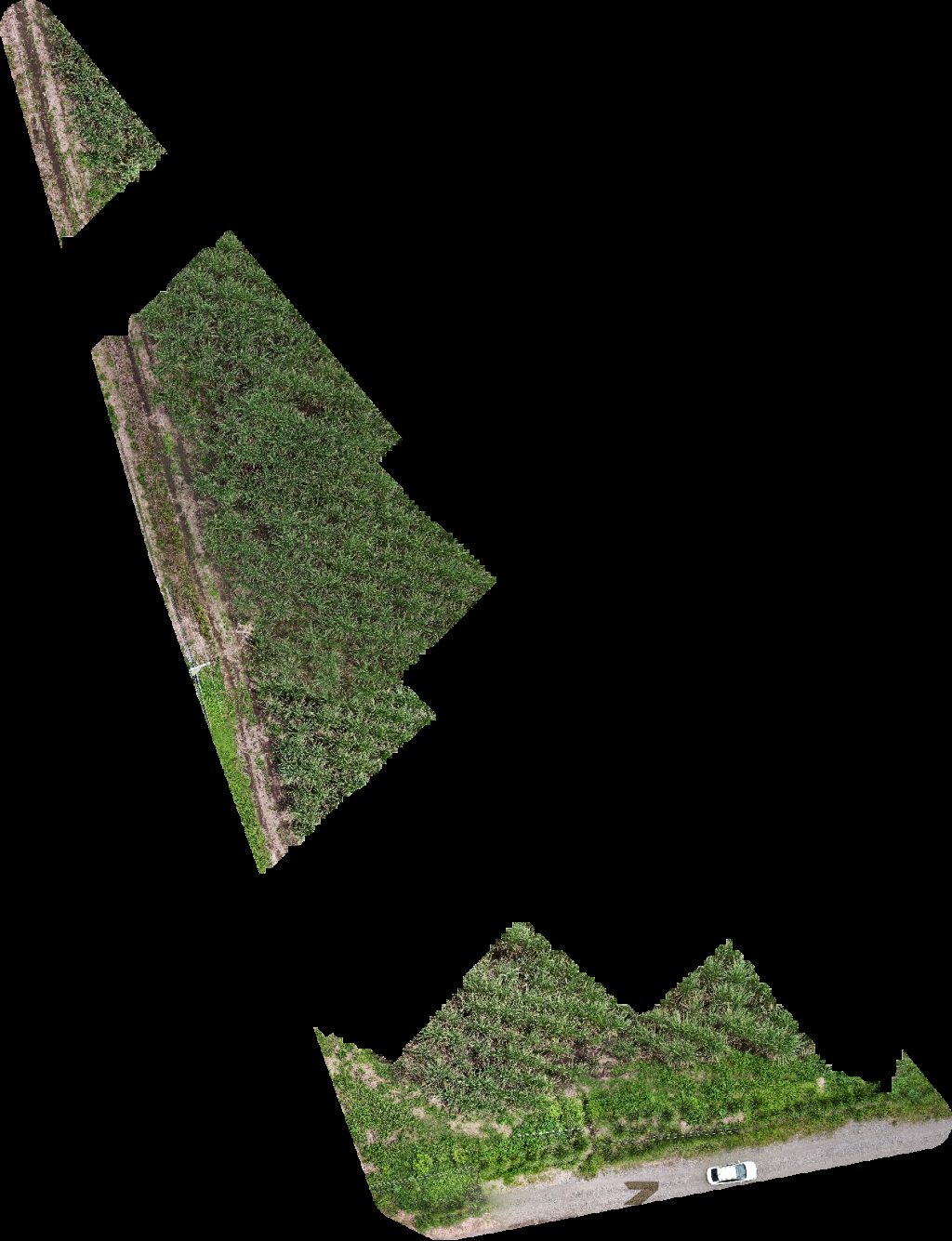 Drone map of Abarroteria Alice ESTADIO DE BÉISBOL LA LOMA SAN PEDRO in Loma de San Pedro Aerial drone map in El Tejar, Provincia De Chiriqui, PA