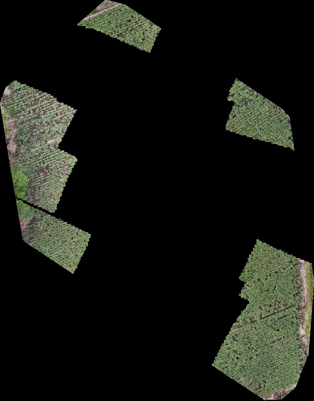 Drone map of Abarroteria Alice Jetski motor in Loma de San Pedro Aerial drone map in El Tejar, Provincia De Chiriqui, PA