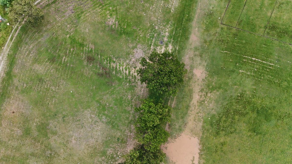 Drone 3d model of UPNG VC OVAL Waigani Primary Elementary School in Waigani Aerial drone 3d model in Port Moresby, National Capital District, PG