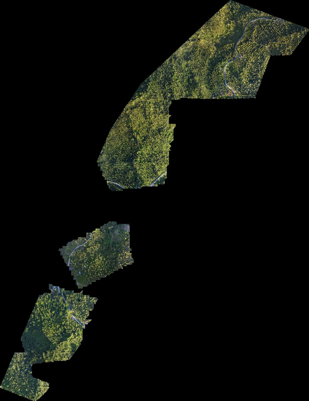 Drone map of EduStencil Jeneca Gollena in villa aurora Aerial drone map in Capalonga, Bicol, PH