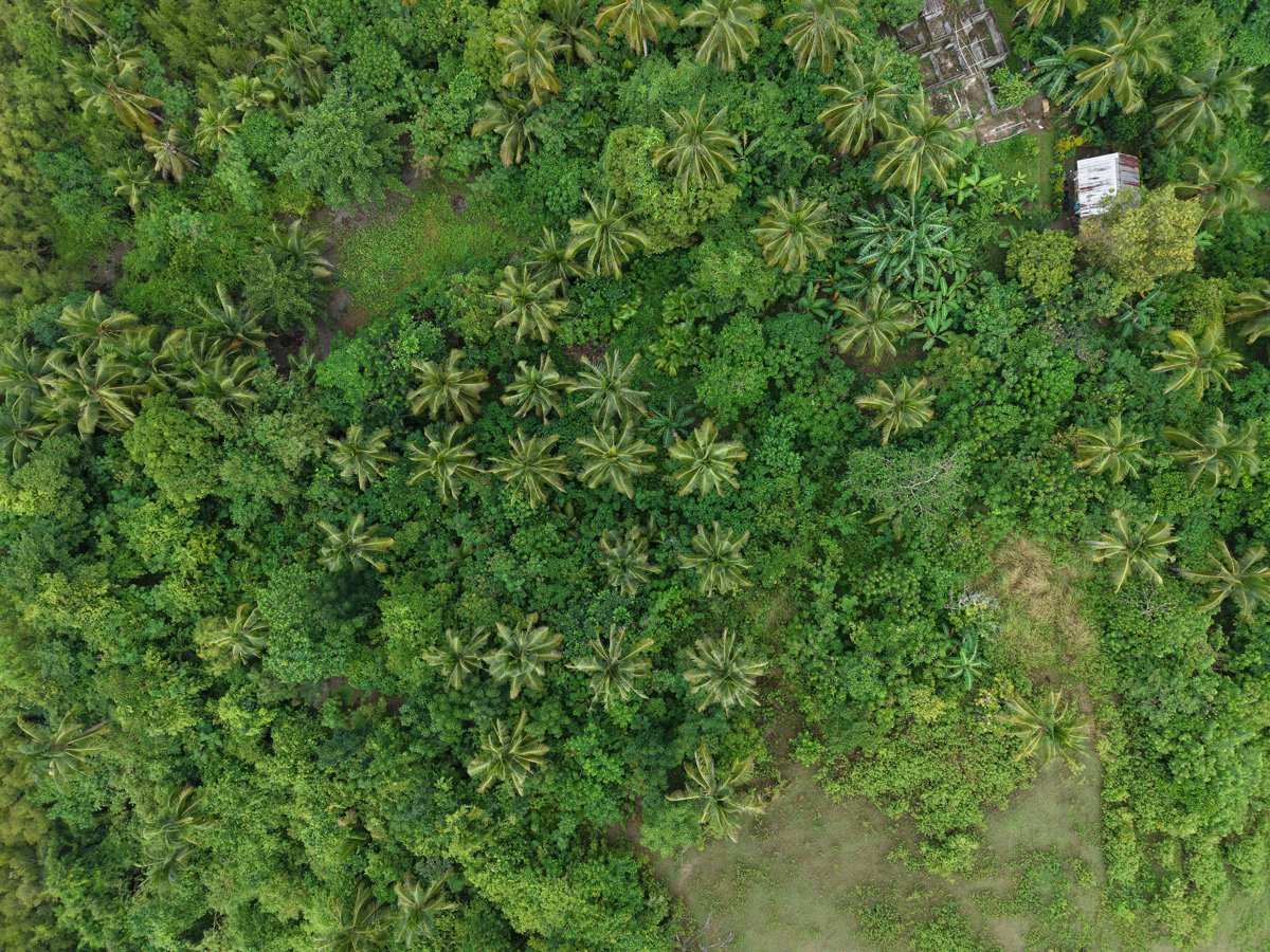 Drone 3d model of Bazaar de Cabarian Ereño s meat frozen goods in beach resort Aerial drone 3d model in Ligao City, Bicol, PH