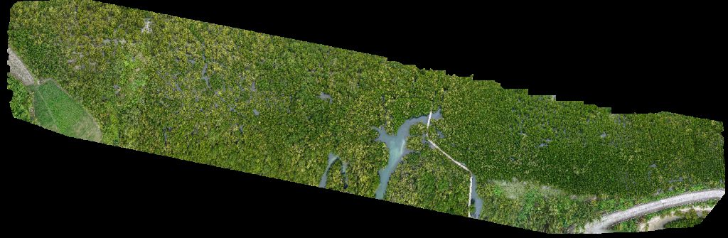 Drone map of Bazaar de Cabarian Ereño s meat frozen goods in beach resort Aerial drone map in Ligao City, Bicol, PH