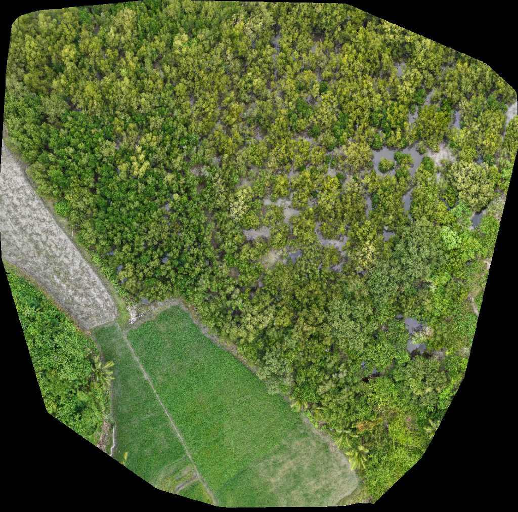 Drone map of Bazaar de Cabarian Ereño s meat frozen goods in beach resort Aerial drone map in Ligao City, Bicol, PH