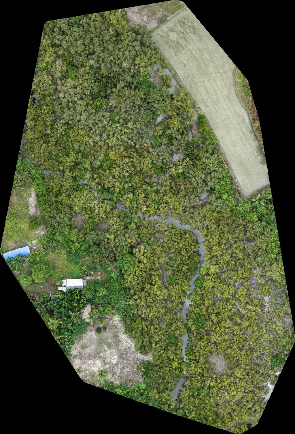 Drone map of Jodel s Paradise Forest Bay Resort in beach resort Aerial drone map in Ligao City, Bicol, PH