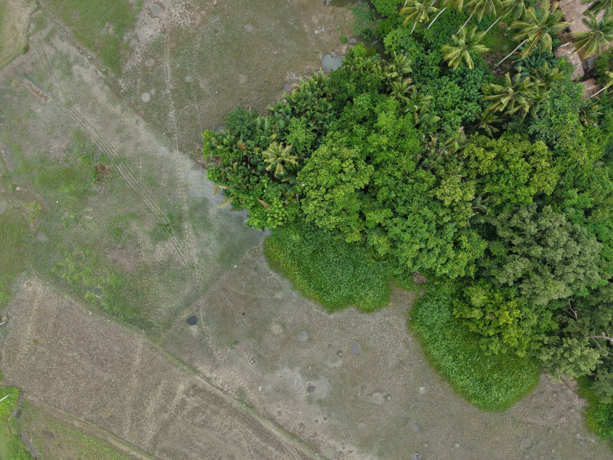 Drone 3d model of Nanay Helen s Store Sr Jose Lechon Pares Mami ATBP in beach resort Aerial drone 3d model in Ligao City, Bicol, PH