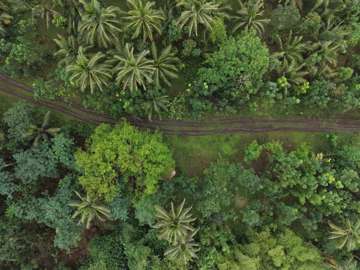 Drone 3d model of Tres Hermano Backyard Worship Servive in San Antonio Aerial drone 3d model in Tabaco City, Bicol, PH