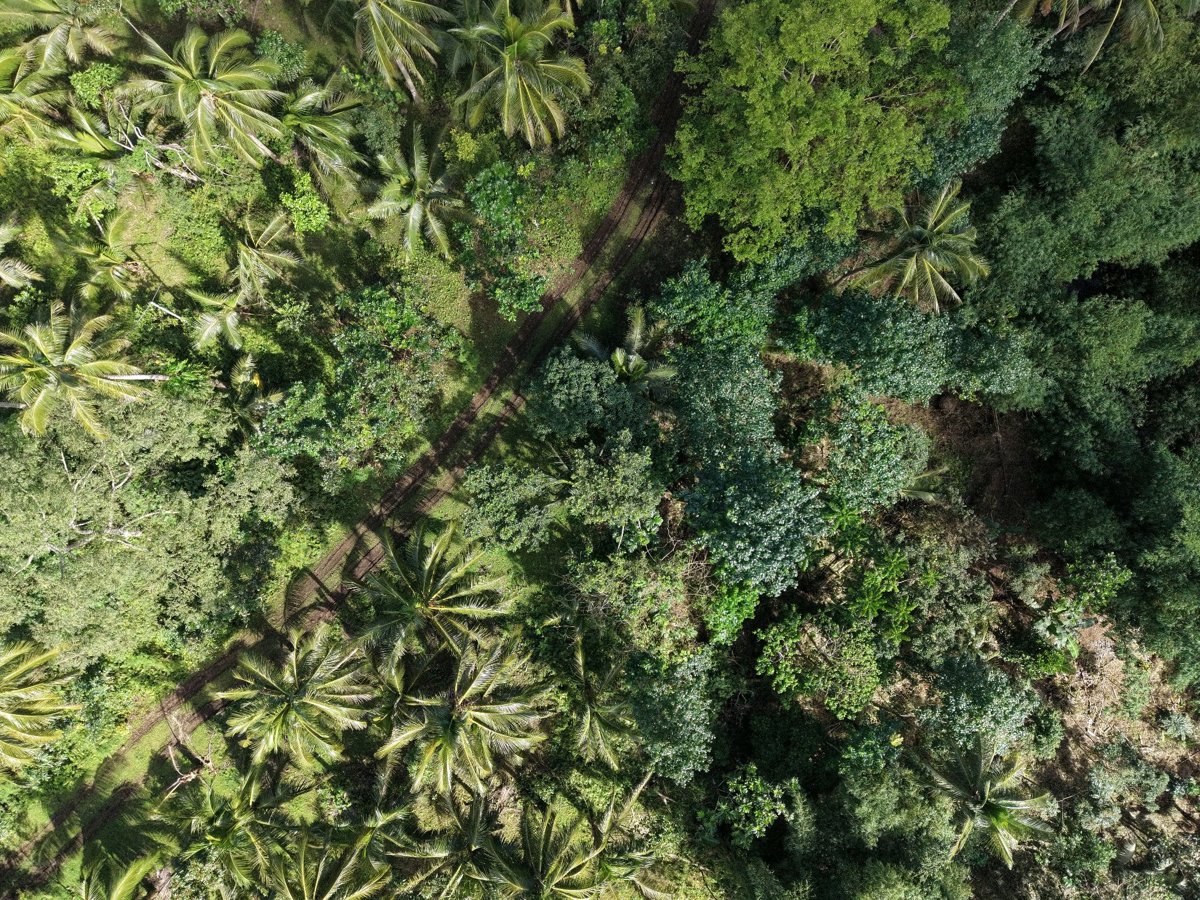 Drone 3d model of Tres Hermano Backyard Worship Servive in San Antonio Aerial drone 3d model in Tabaco City, Bicol, PH