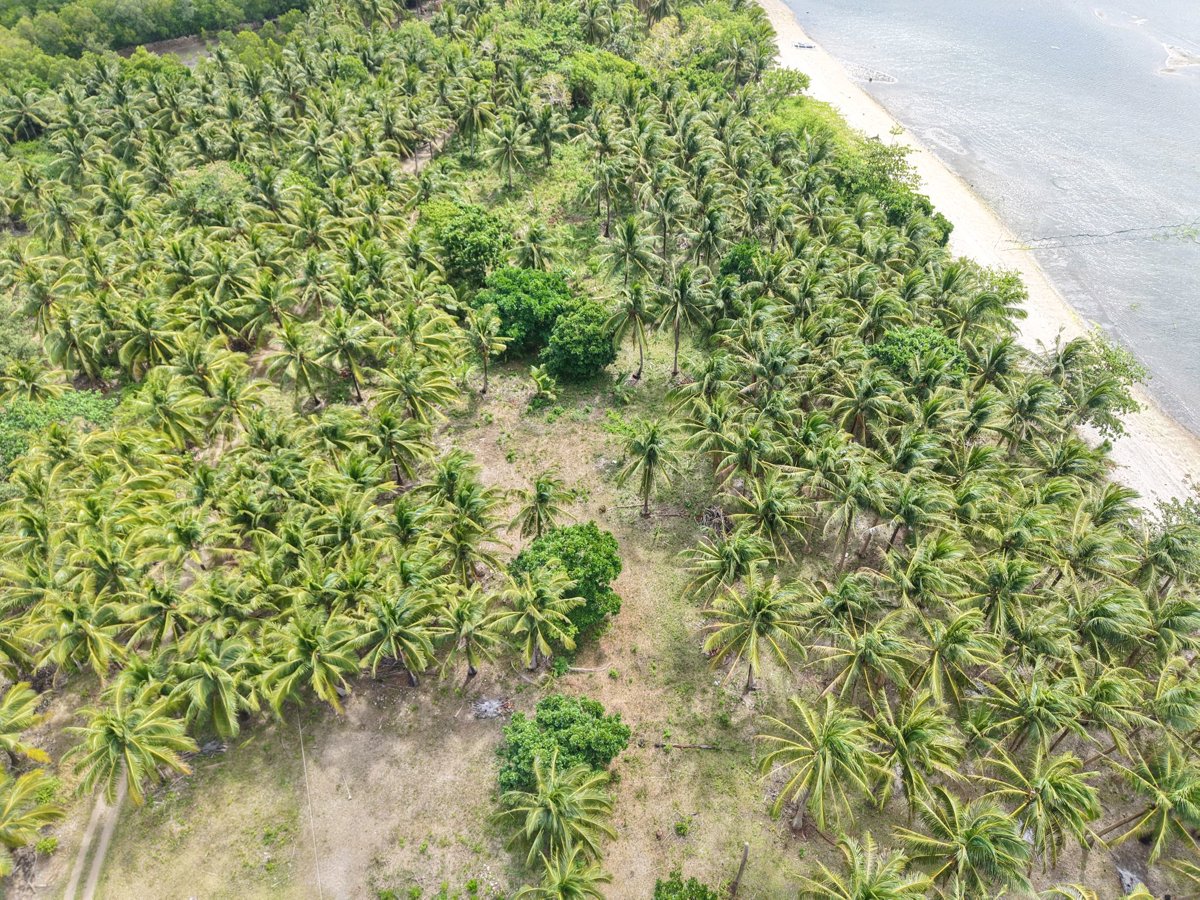 Drone 3d model of GEM Beach Front Camping Ground d Urnoms in beach resort Aerial drone 3d model in Agdangan, Calabarzon, PH