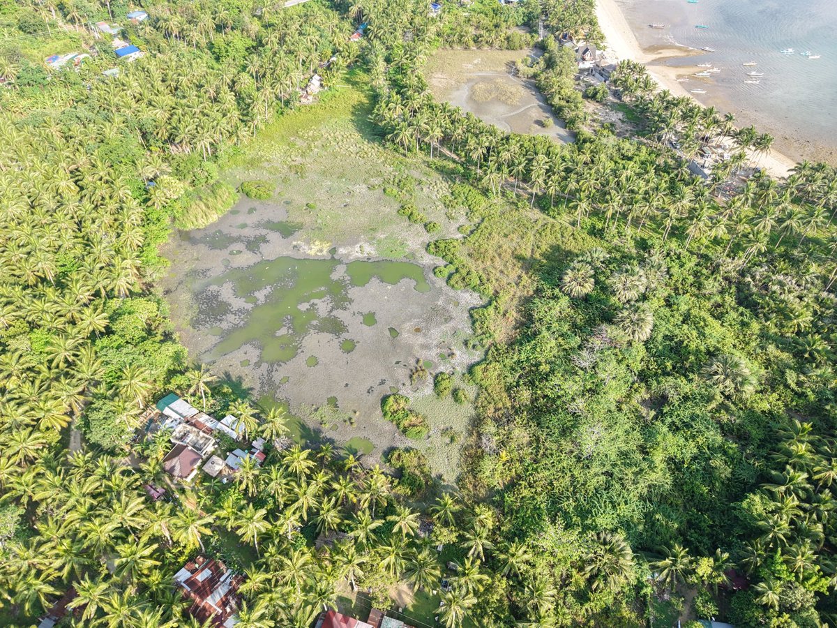 Drone 3d model of Pardilla Beach Resort QUEENTERRI in sari sari store Aerial drone 3d model in Mulanay, Calabarzon, PH