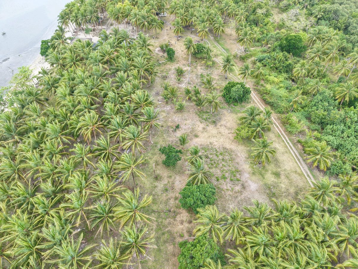Drone 3d model of El nico Beach Resort Enbeach staycation in beach resort Aerial drone 3d model in Unisan, Calabarzon, PH