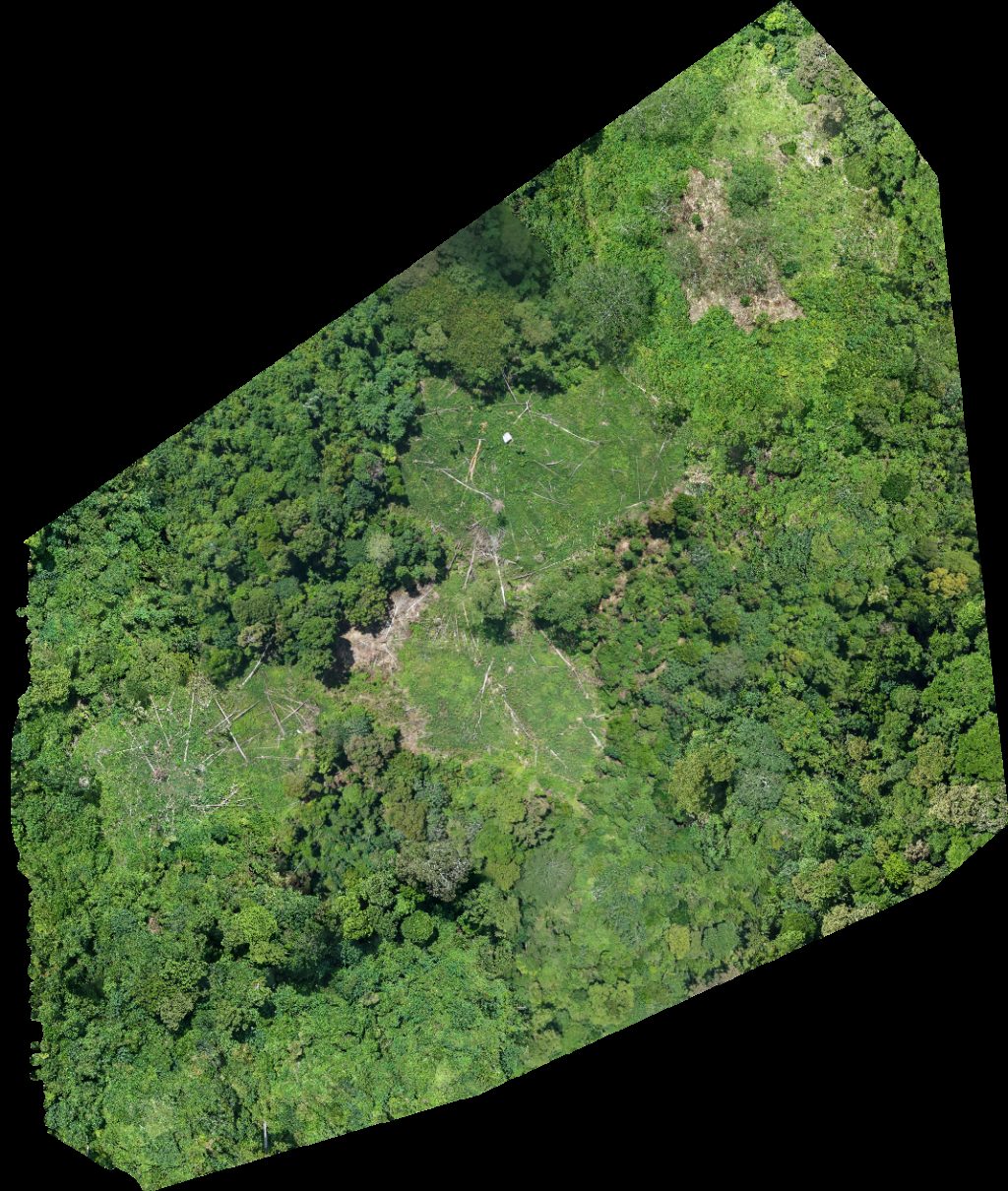 Thumbnail preview for Drone Map of Kipundao Bolihon Sangay Buevista Agusan Del Norte in Buenavista, Caraga, Philippines