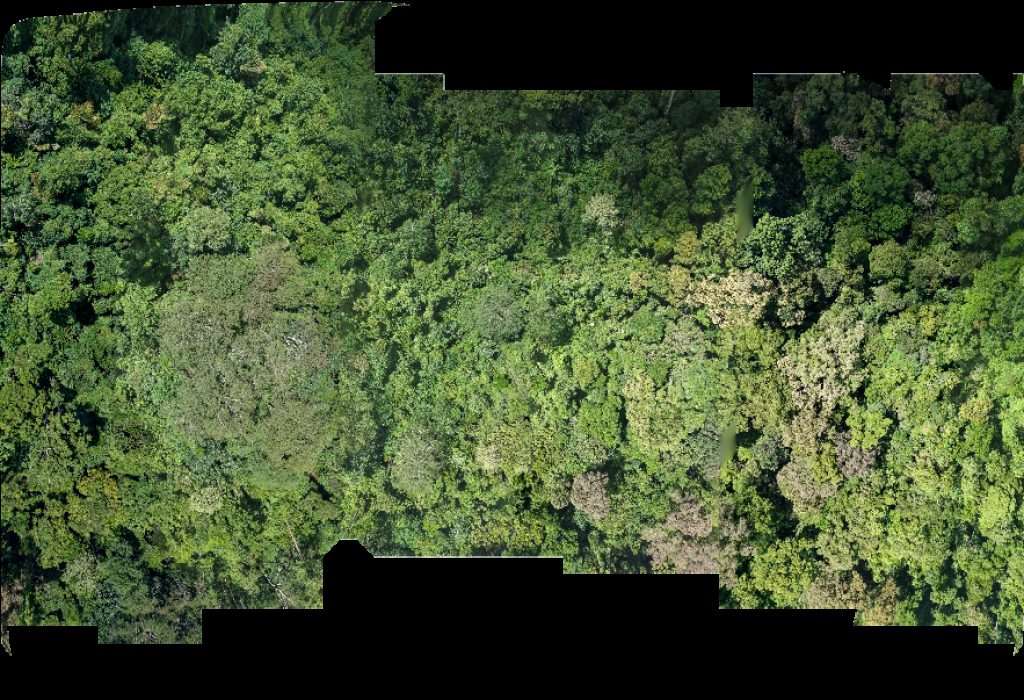 Thumbnail preview for Drone Map of Manlangit Elementary School Kipundao in Buenavista, Caraga, Philippines
