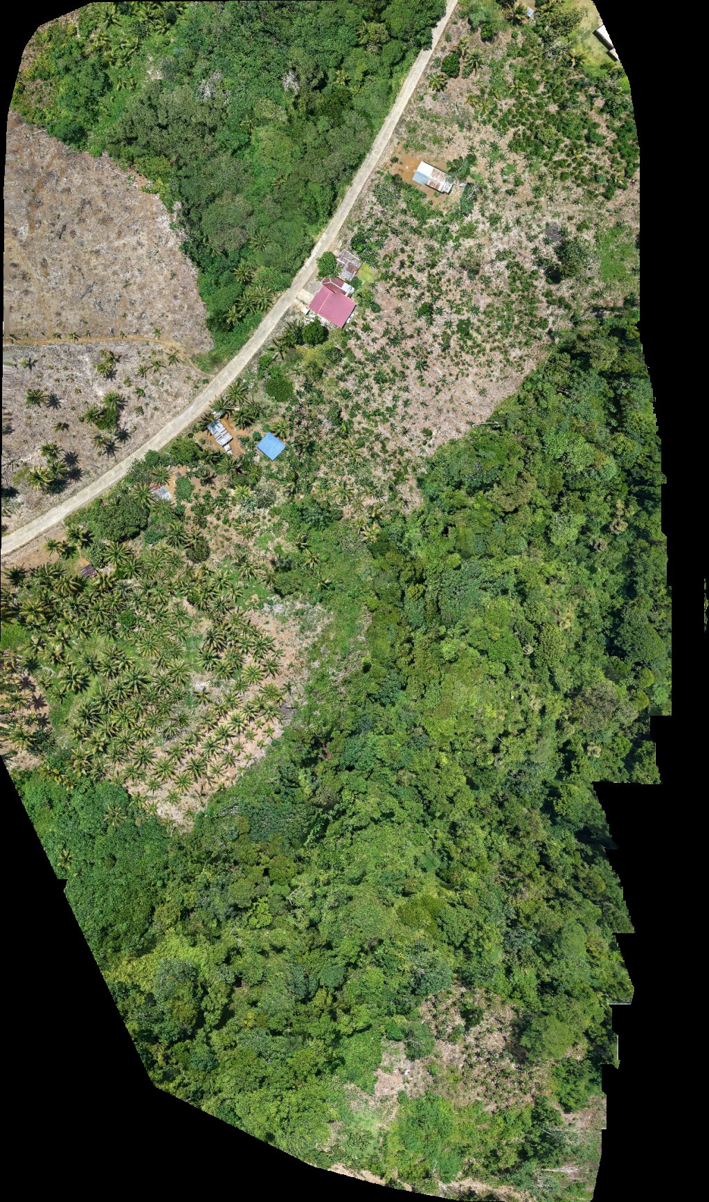 Thumbnail preview for Drone Map of Lasudama Heritage Lawan Government Center in Las Nieves, Caraga, Philippines