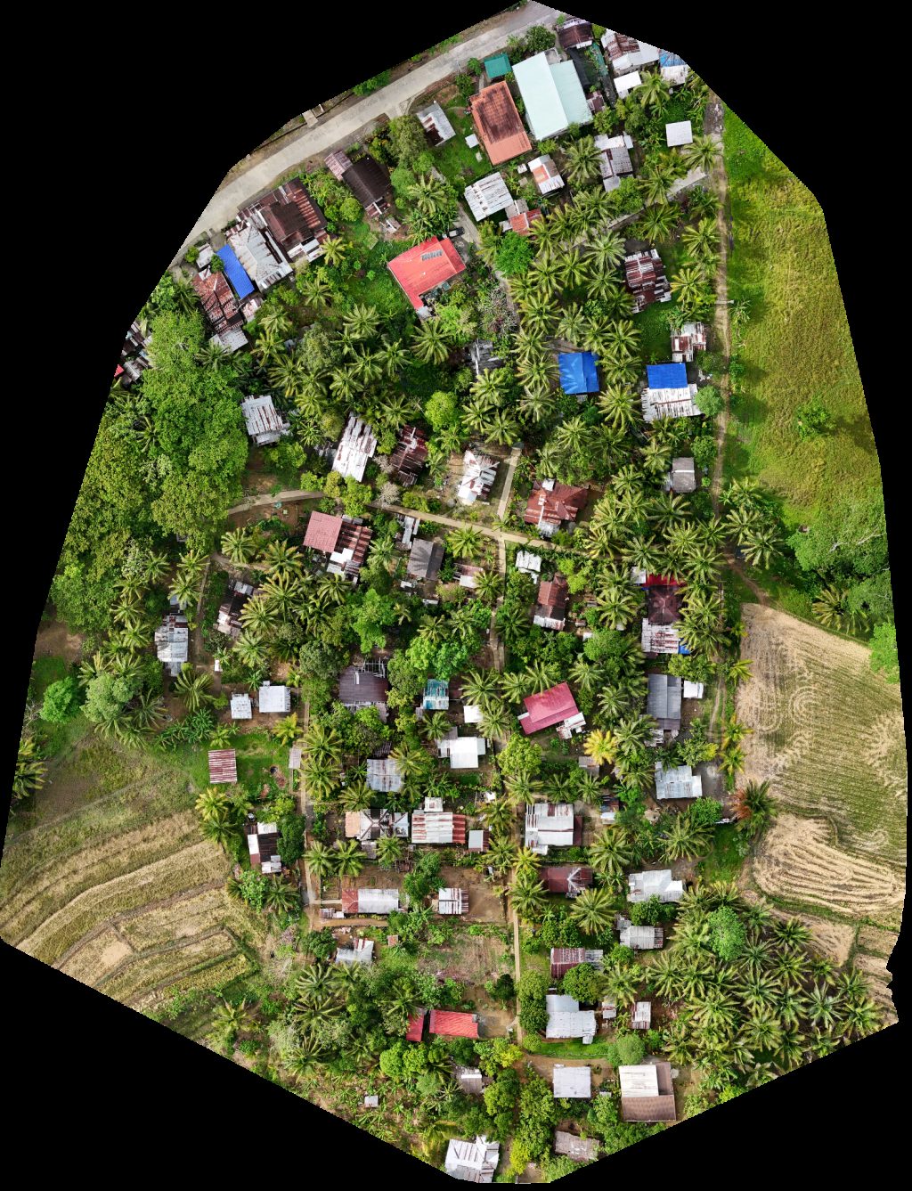 Drone map of Agyabao Elementary School Almamento in san isidro Aerial drone map in Las Nieves, Caraga, PH