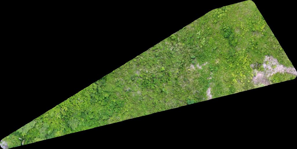 Thumbnail preview for Drone Map of Pinakan Upper Lahi Elementary School in Pantukan, Davao Region, Philippines