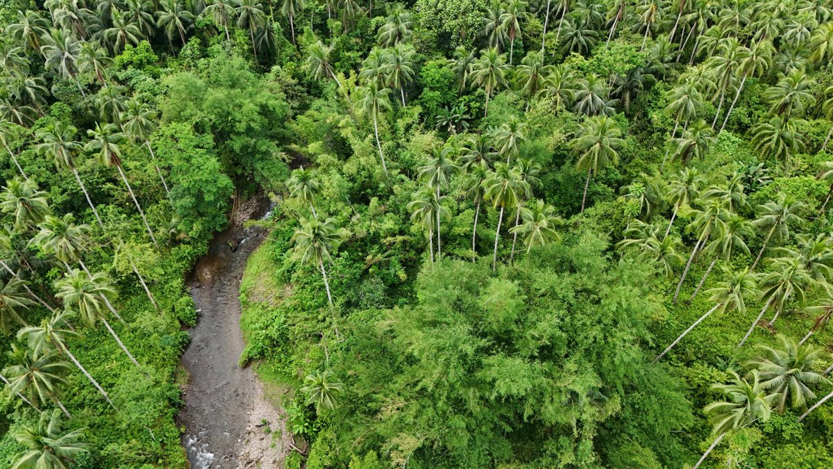 Drone 3d model of Good Head Goat Farm Sagmaw Feeds Supply in primary school Aerial drone 3d model in La Paz, Eastern Visayas, PH