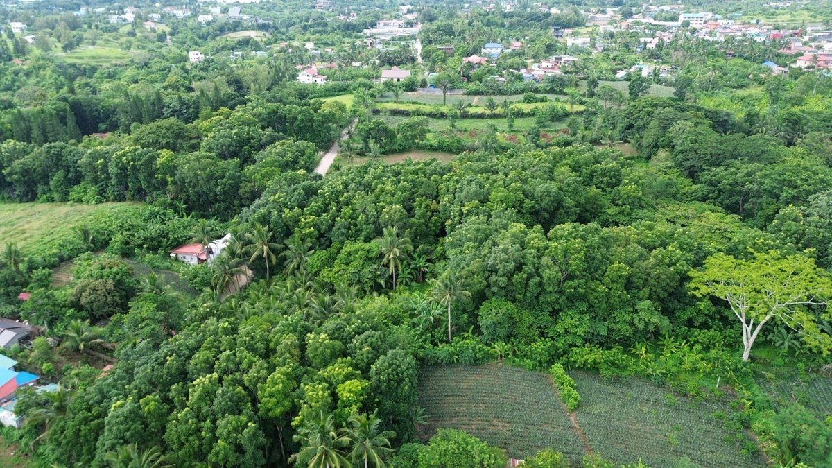 Thumbnail preview for 3D Drone Model of Lara S Ark Aurelio Farm in Silang, Metro Manila, Philippines
