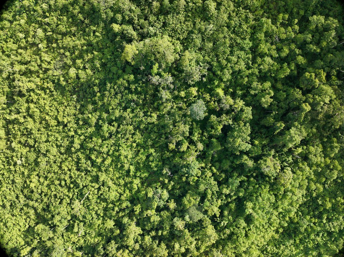 Drone 3d model of Apolen Quarrying Daan elementary school in Aporawan Aerial drone 3d model in Aborlan, Mimaropa, PH