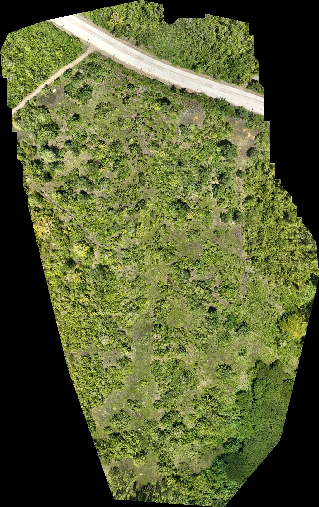 Drone map of Gintong Butil Agrifarm DA BFAR Inland Sea Ranching Station in Barangay San Miguel Aerial drone map in Puerto Princesa City, Mimaropa, PH