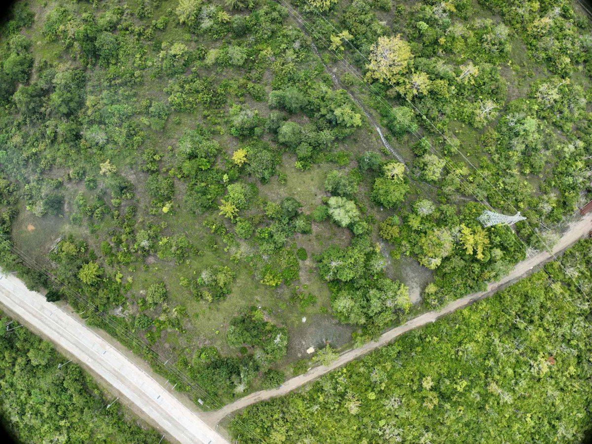 Drone 3d model of Gintong Butil Agrifarm DA BFAR Inland Sea Ranching Station in Barangay San Miguel Aerial drone 3d model in Puerto Princesa City, Mimaropa, PH